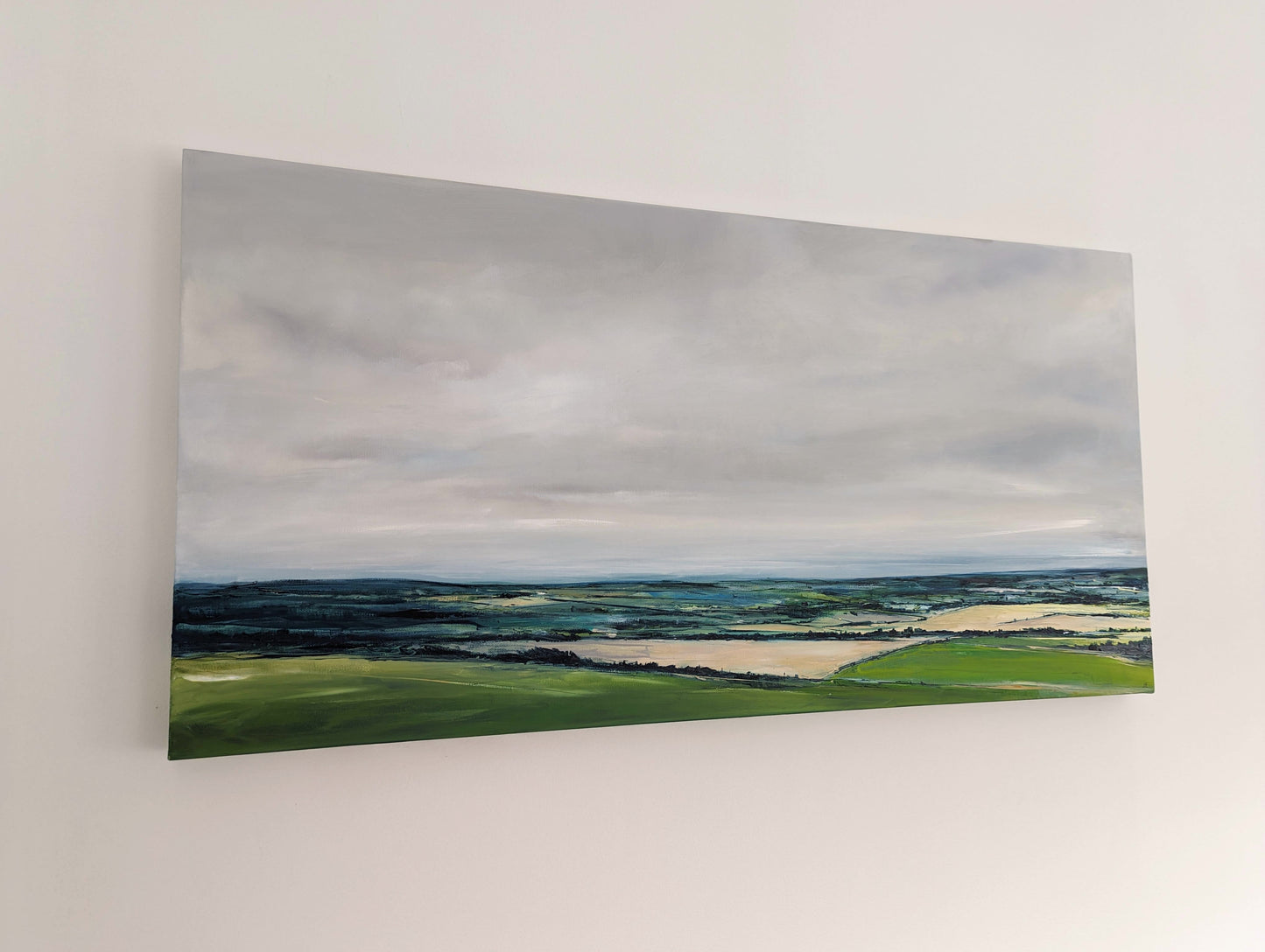Dunstable Downs Landscape
