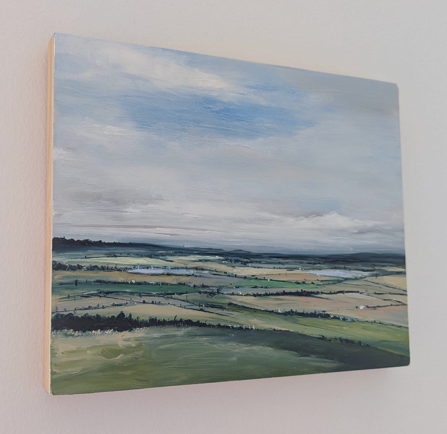 Dunstable Downs #11