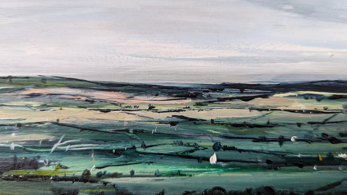 Dunstable Downs #8