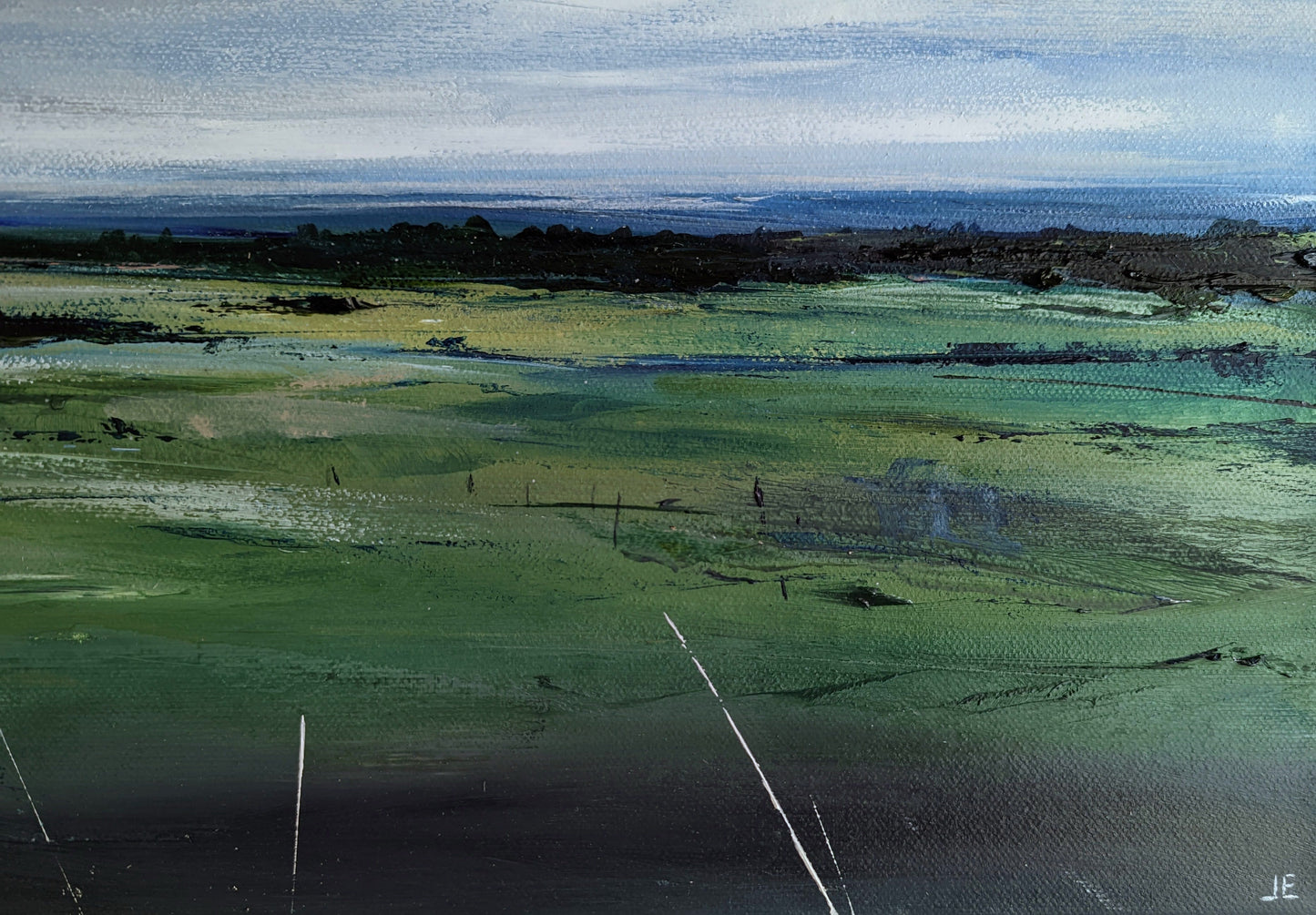 Cleeve Hill, The Cotswolds #2
