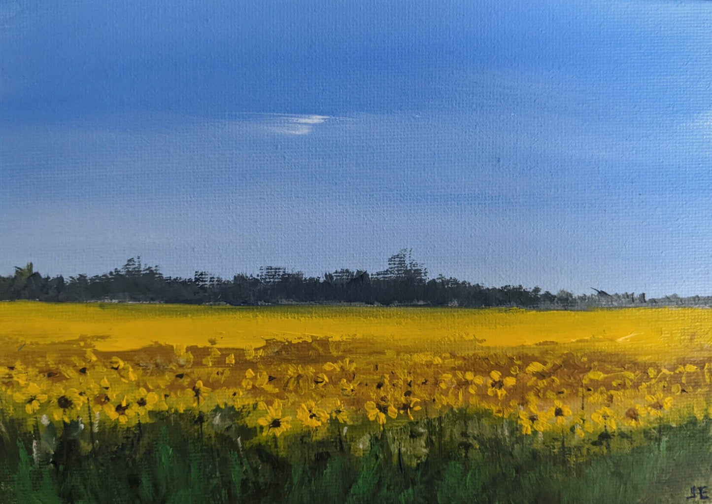 Miniature Sunflowers Landscape oil painting on canvas board, by Jo Earl